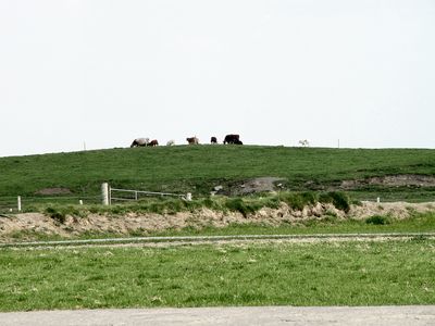 20130611Ireland0233.jpg