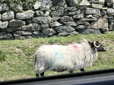 20130611Ireland0258.JPG